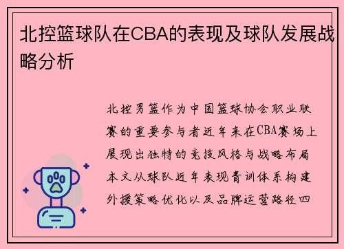 北控篮球队在CBA的表现及球队发展战略分析