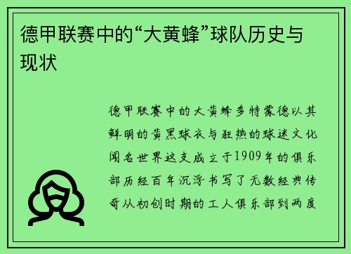 德甲联赛中的“大黄蜂”球队历史与现状